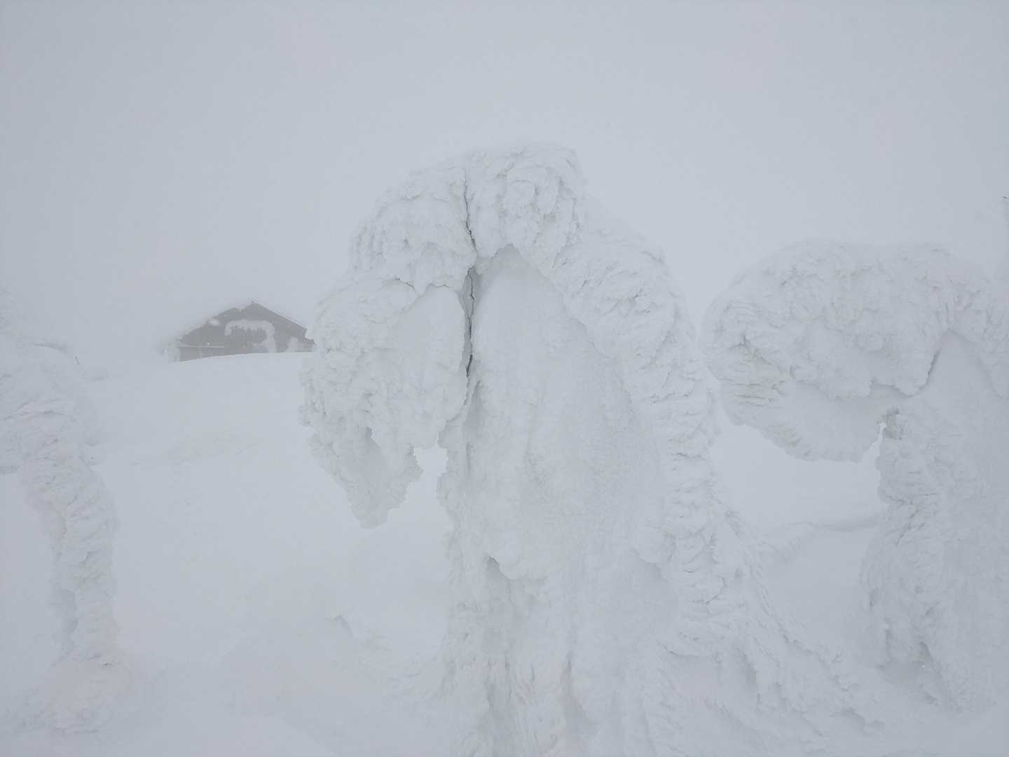 ルートやピンテも探したけどわからん💦GPSで確認してもわからん。視界不良と吹雪で山頂行っても眺望無しならつまらないでしょ。うーん…もういいかっ！と撤退決断。避難小屋まで戻ってモンスター鑑賞。