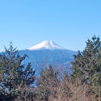 眺め台の上に上がると富士山見えます。