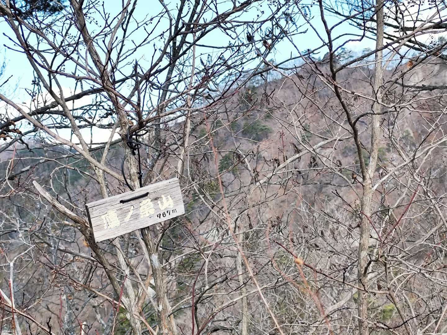 下底瀬と鷹ノ巣山との分岐を間違え無いように…下らずに真っ直ぐ登れば鷹ノ巣山（767m）です