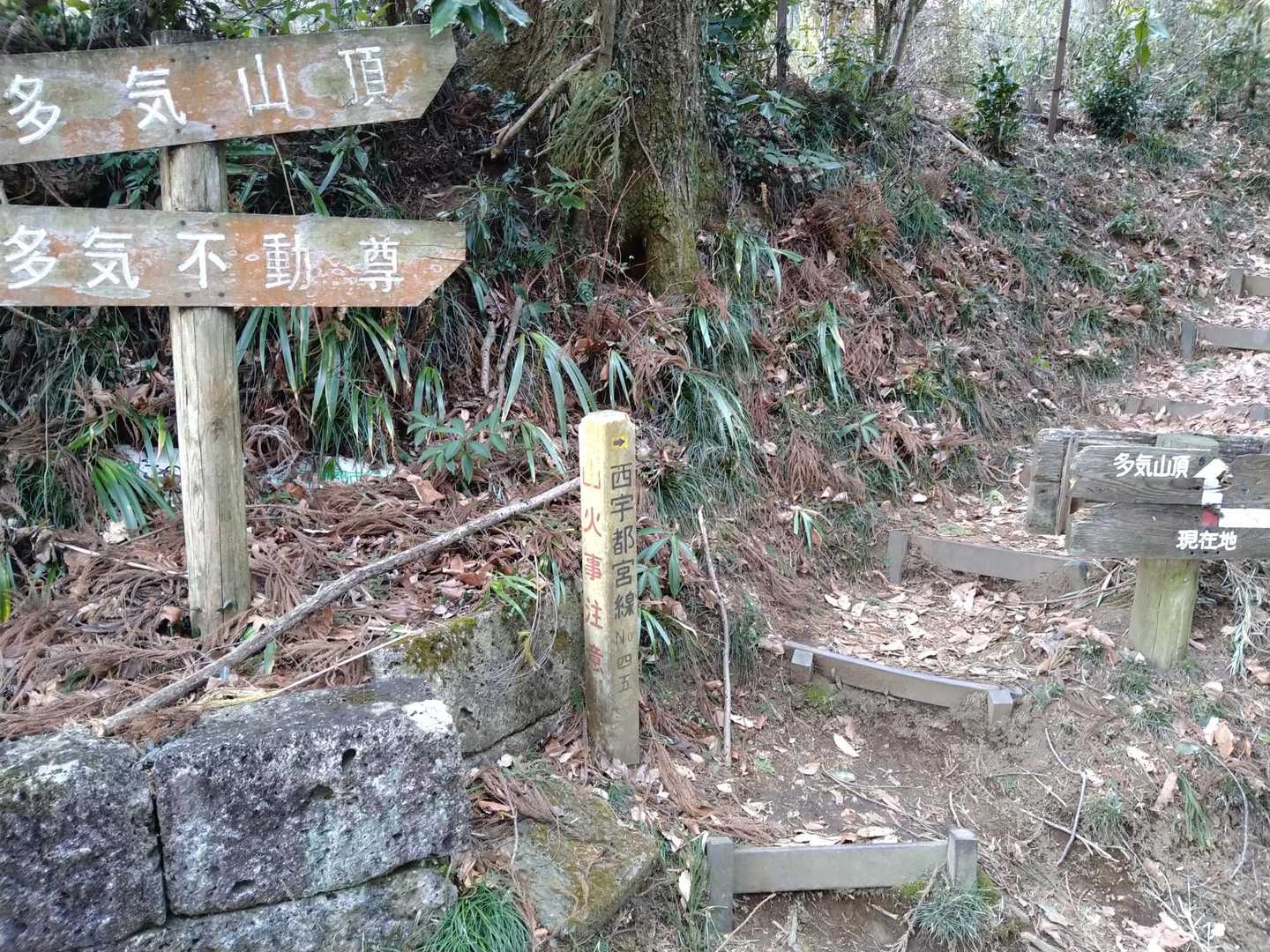 登山口に到着。