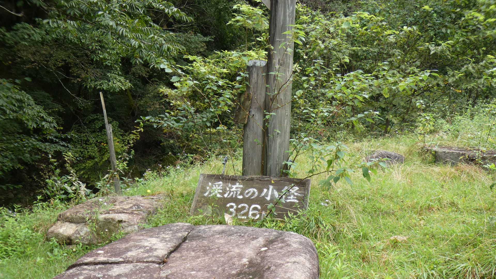 沢を渡って歩ける道があるみたいだけど、往路は冒険せず、戻りに使ってみよう