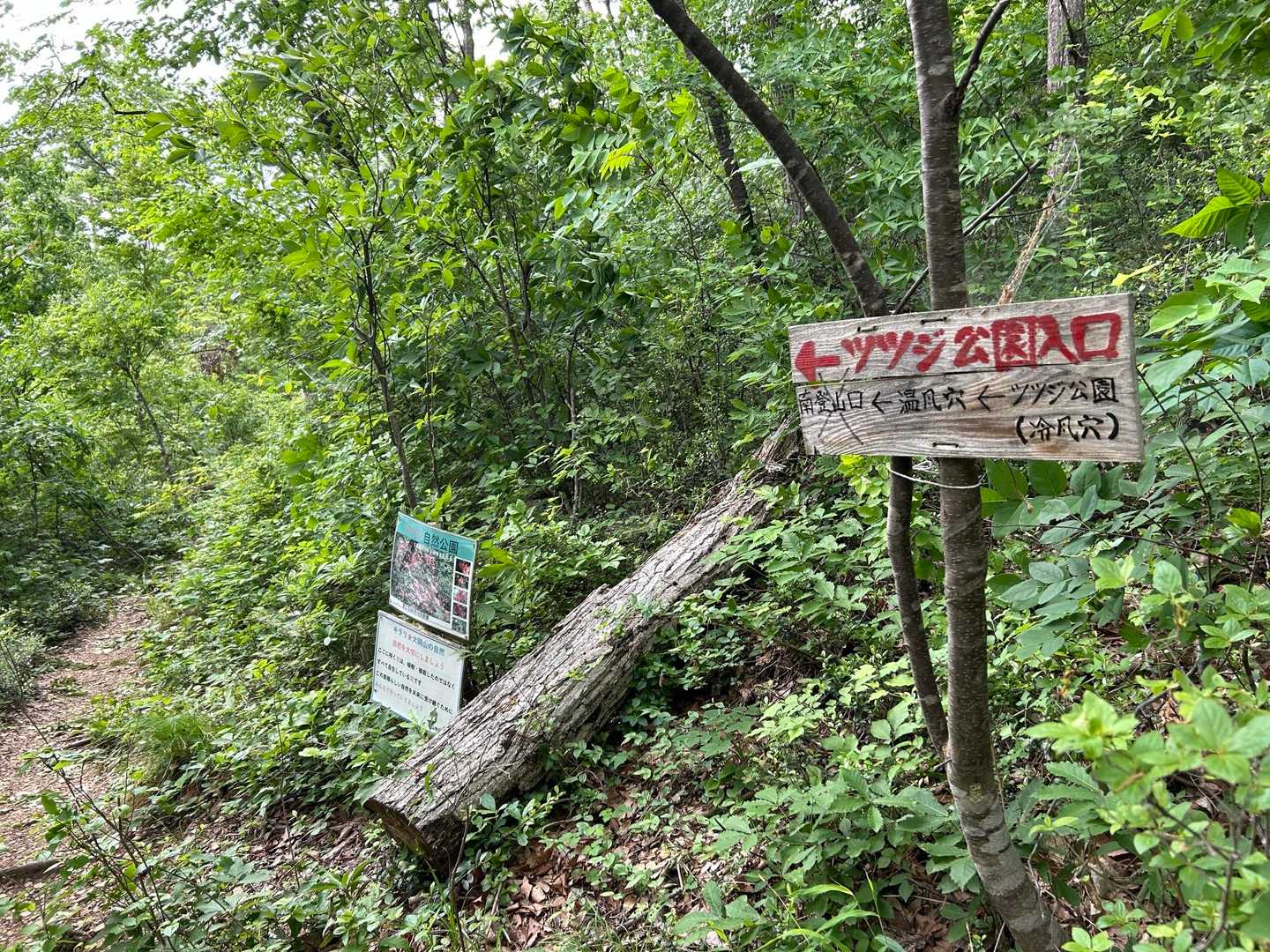 今年も楽しませてもらいました🙇‍♂️
