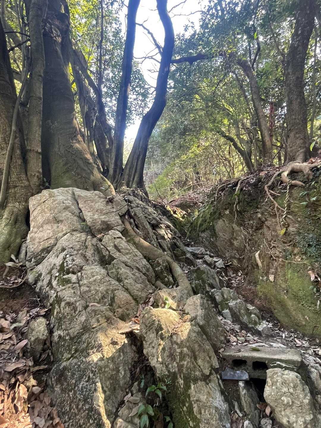 いざ登山開始ぃ…
なんかキツそう😭