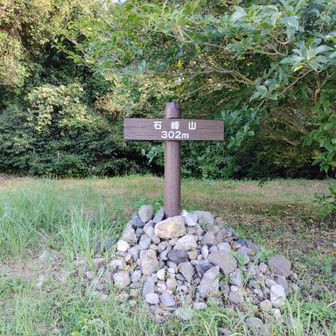 石峰山▲
草ボーボーかと思ってたのに、綺麗に刈り取られていました🙏