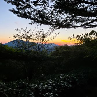 ここら辺りで写真撮影中松山市からのレディさんと挨拶を交わす。ご一緒したくて慌てて歩き出す...