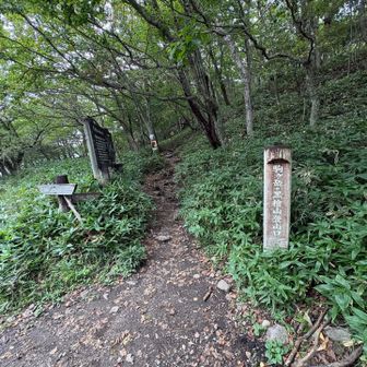 下山完了