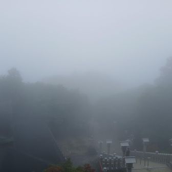 下山開始真っ白🤩