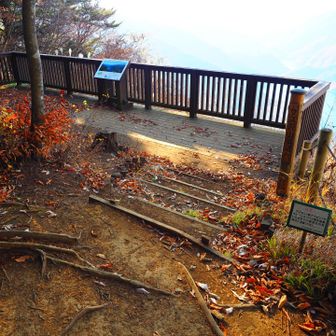 サス沢山展望デッキ