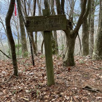 中当城ヶ山山頂