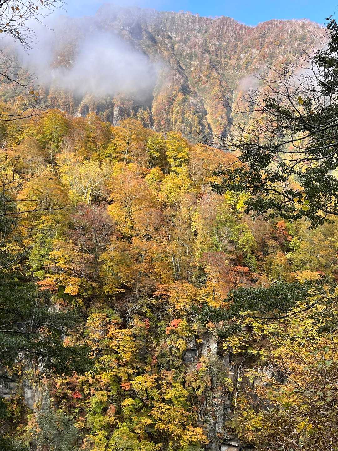 最後は外輪山の紅葉を見ながら
