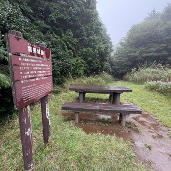 鷹巣山山頂
ここも鷹巣城跡の説明板になってます
完全な雨で、芦ノ湖に着いてやっと霧雨になりました