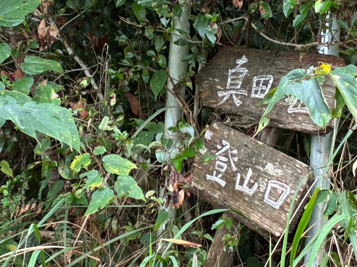 草刈りしたいなー