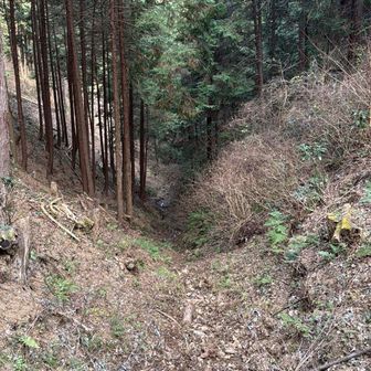 小さな川が形成されていく様子が見られました