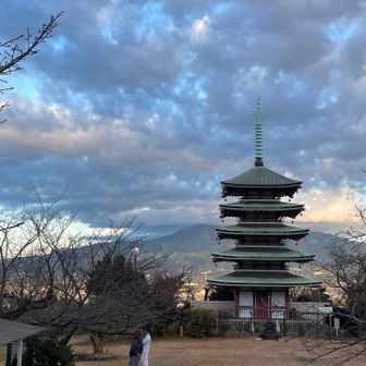 やっぱり雲の中