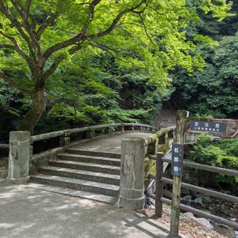 もみじ橋