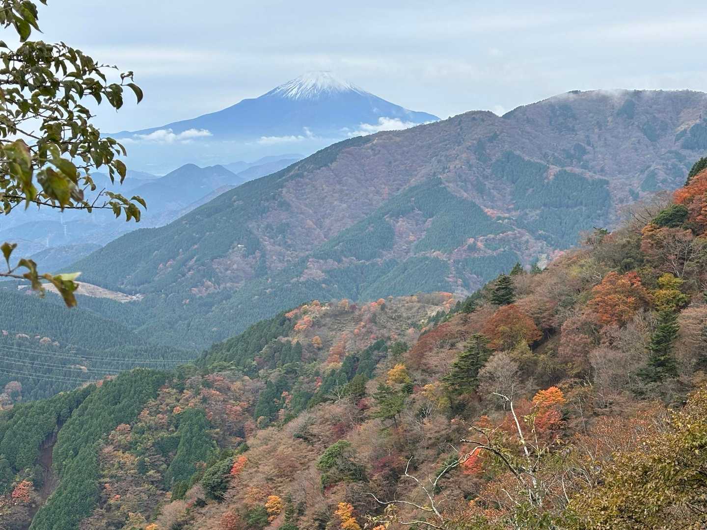 まさか富士山見えるとは
みんなで歓声が上がりました♪
