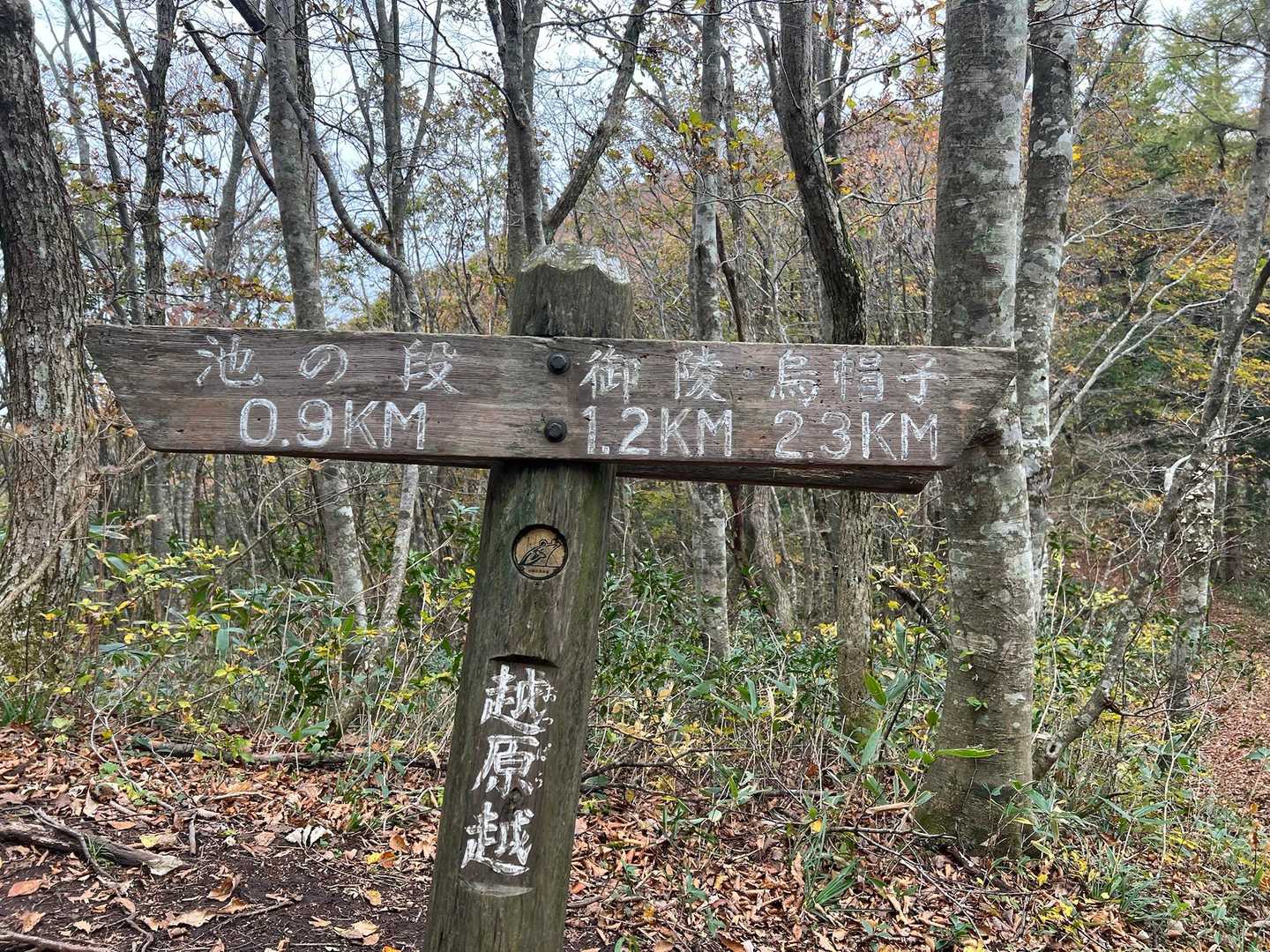 ひろしま県民の森登山口-展望園地-立烏帽子山-池ノ段-越原 周回コースの写真