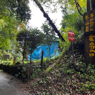雑な登山口の看板w
なんて書いてあるか分からない🤣