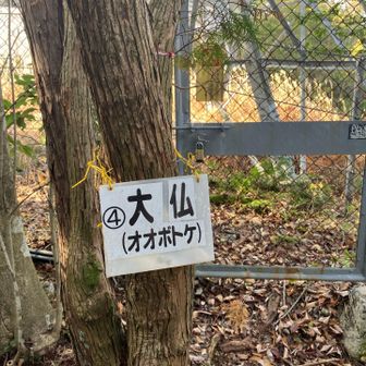 大仏山の山頂を通過。
2時間8分が経過。