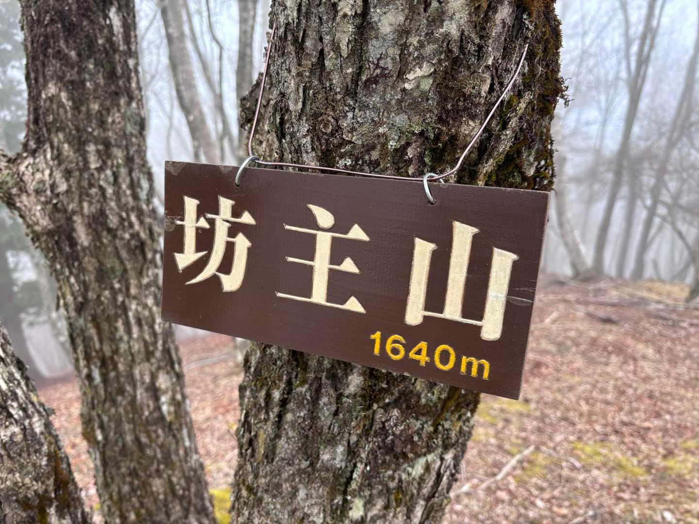 探したよ〜GPS からズレてたね
プレミア山標🩶