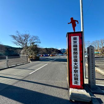 ここで力尽きて倒れてるオバさんいたらブルーシートで覆われてしまう😇