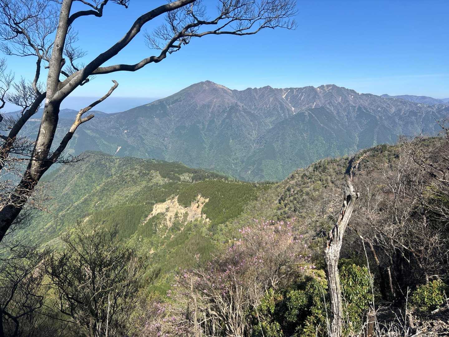 市房山も綺麗です。