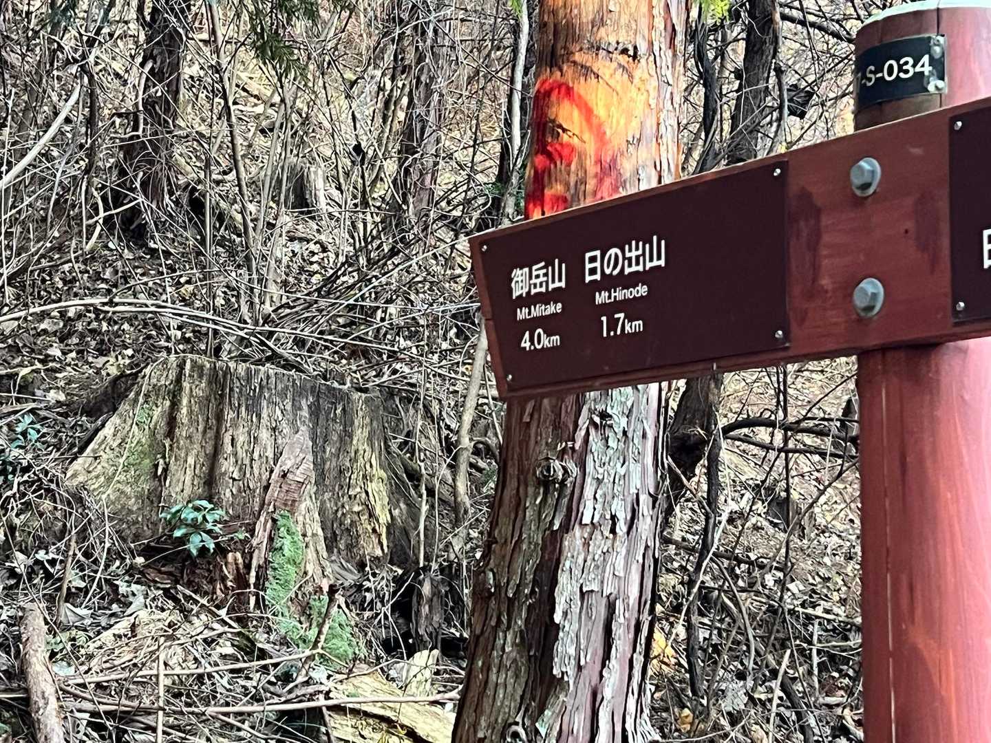 日の出山ハイキングコース入口-御嶽神社-御岳山 往復コースの写真