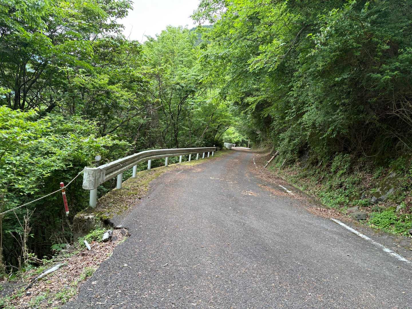 肉淵林道　帰ります🚙💨👋
思ってたより道幅もあり安心してここまで来ることができました。
他の方もレポされてたように落石落枝が多く👀注意が必要　邪魔になるのは避けときました。
お疲れ⛰️でしたー🙌