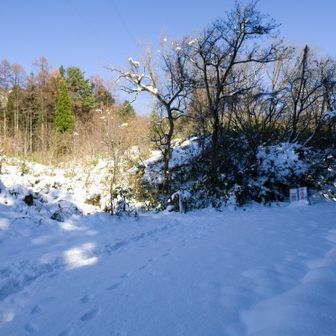 千石城山登山口まで下りてきました😊