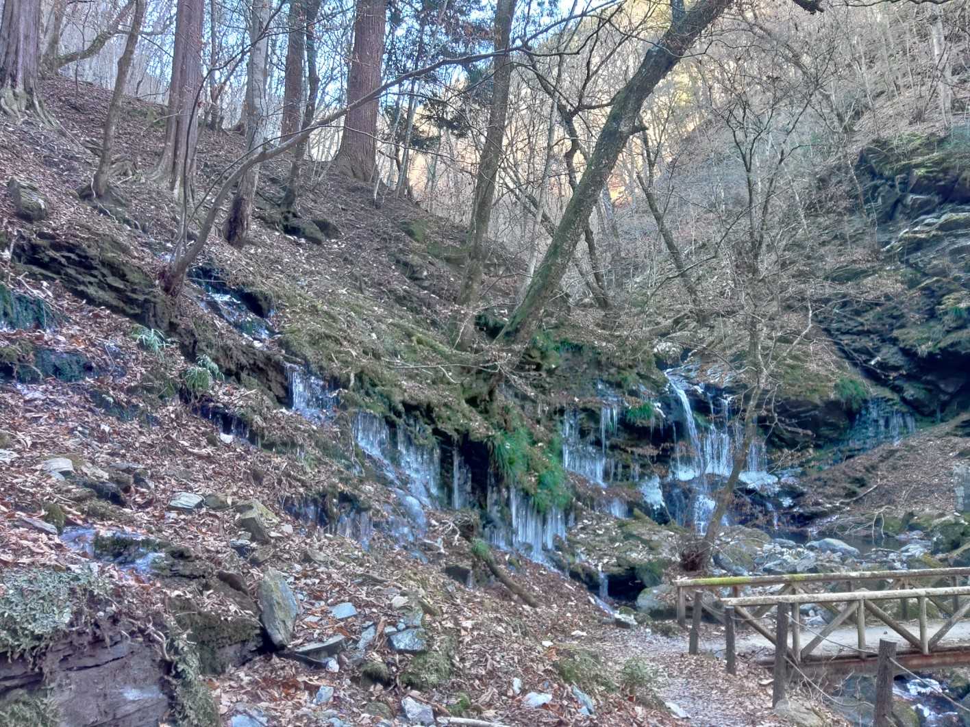 大輪バス停-三峯神社 周回コースの写真