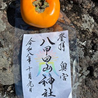 終わったあとは御朱印と供物のカキをいただいて終了☑️