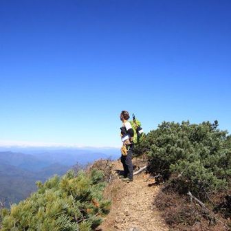 あどけない猫神