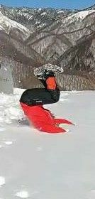 マッスル太郎丸