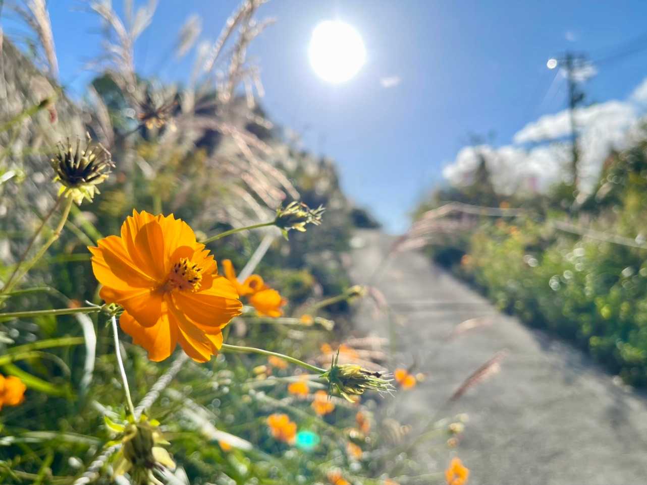 ショートカットで下山完了！
やっと秋が来ましたね🌾