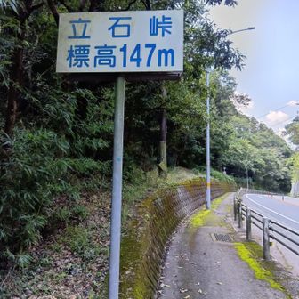 ここが立石峠ということにしときます。本来ならこの看板の右手の山が立石峠らしいです。