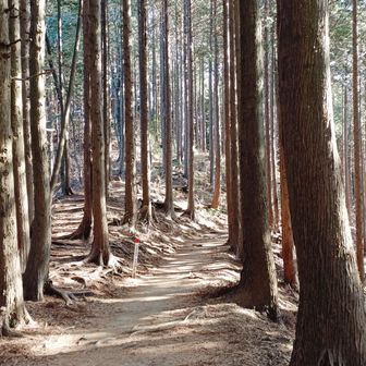 南側は翌日が当たります