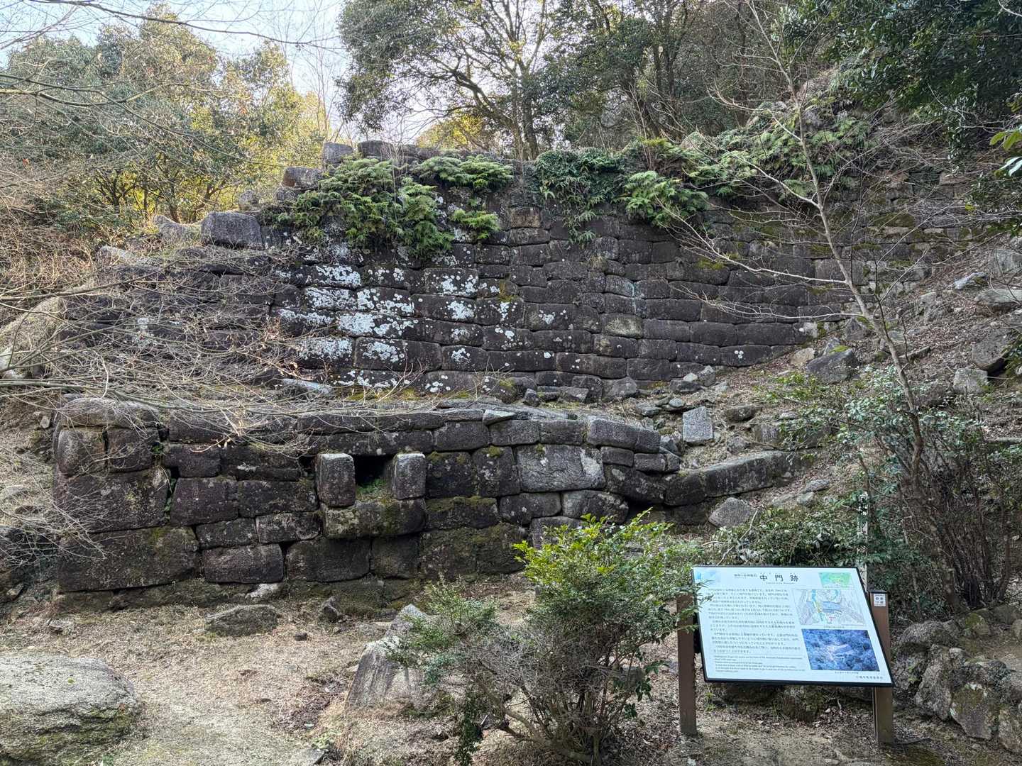 御所ヶ岳 往復コースの写真
