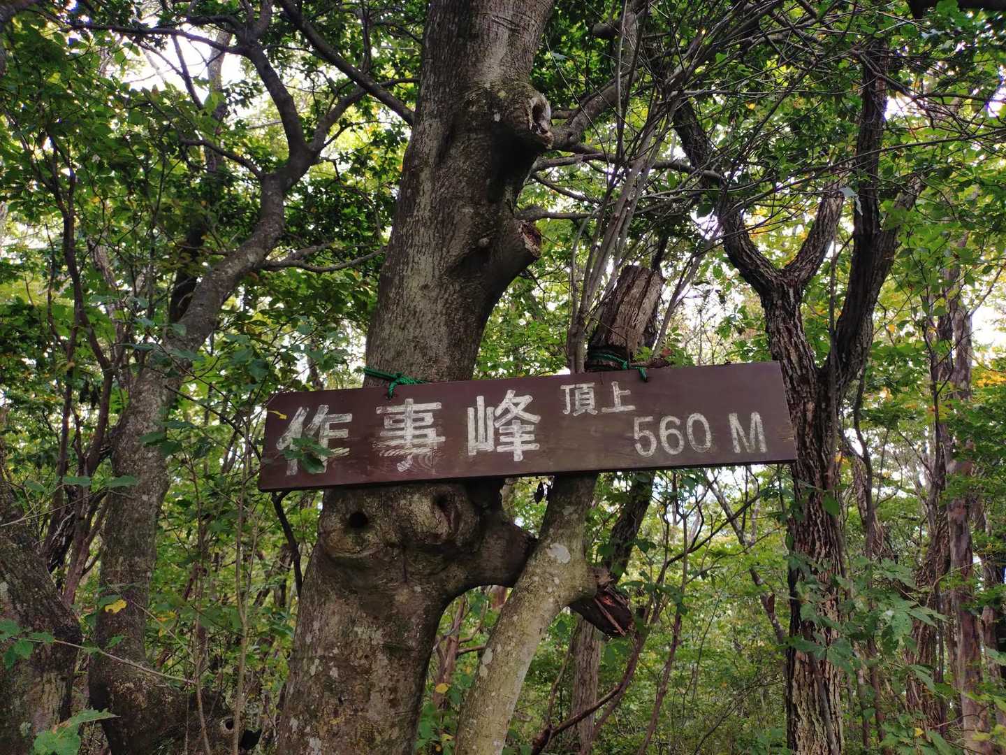 作事峰到着
眺望なし