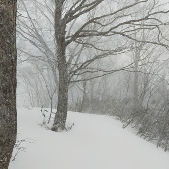 頂上は強風と低温で凍えました。