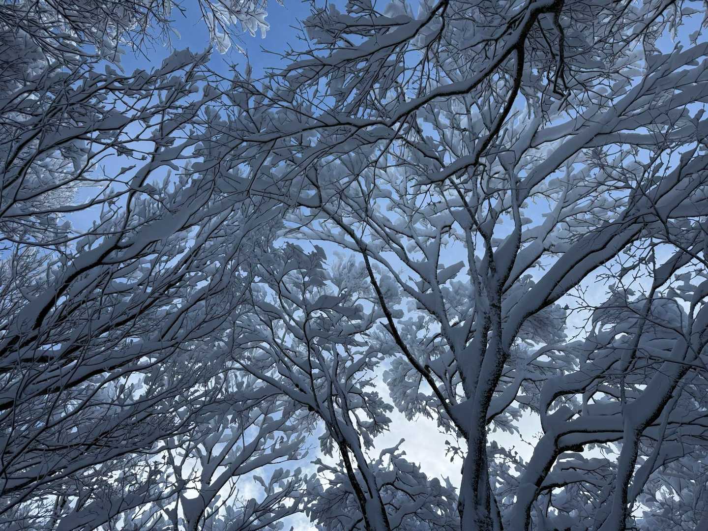 突然の青空🩵