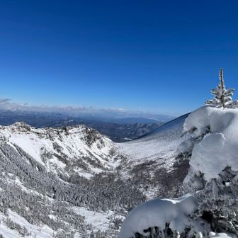 今年の秋に群馬県境火山帯トレイルで、しゃくなげ園から藪漕ぎで登った鋸岳と仙人岳✨