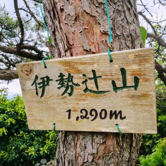 伊勢辻山山頂1290Ｍ到着⛰️

見晴らしはありません