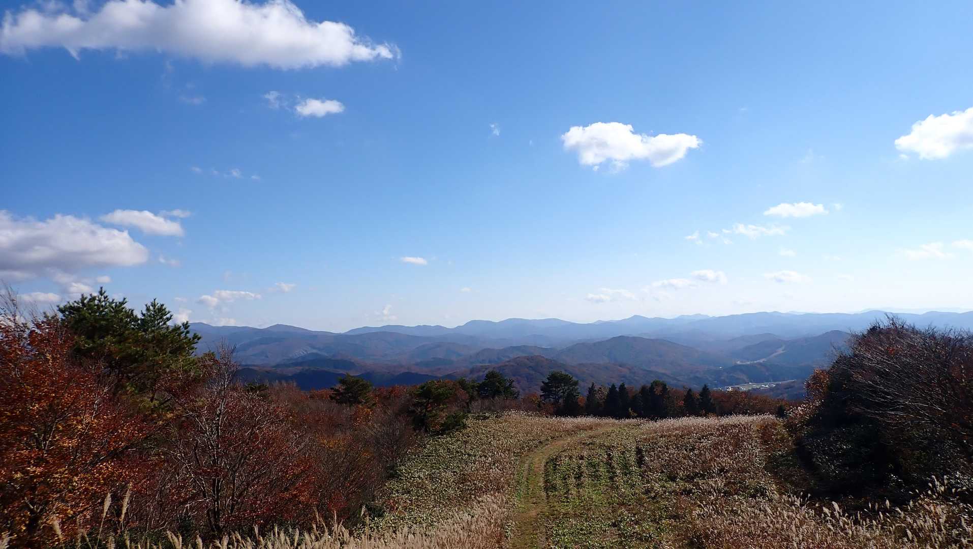 大佐山 往復コースの写真