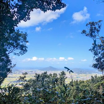 高祖山山頂から可也山を望む