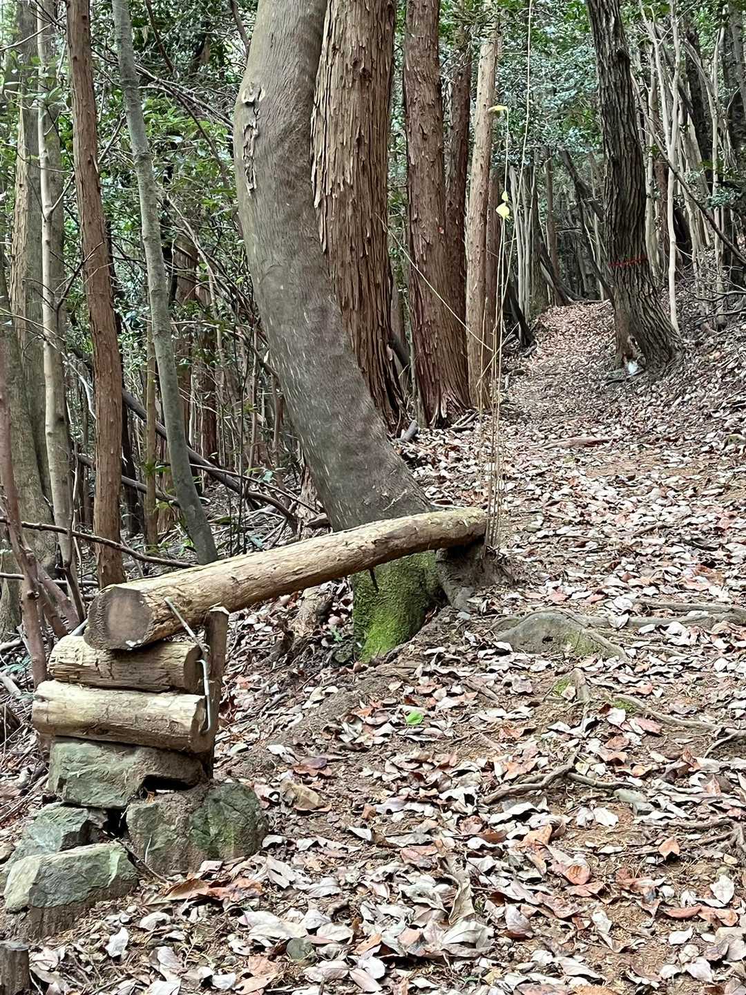 休憩の椅子、可愛い〜❤️