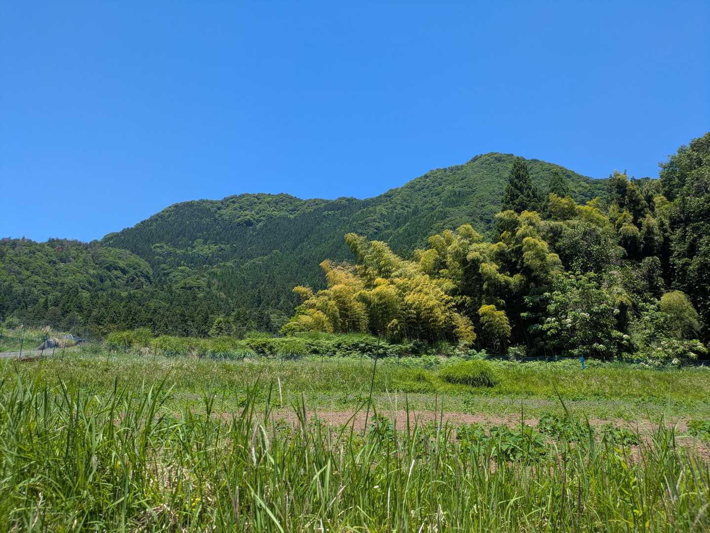 青葉山・・東峰西峰がよくわかる