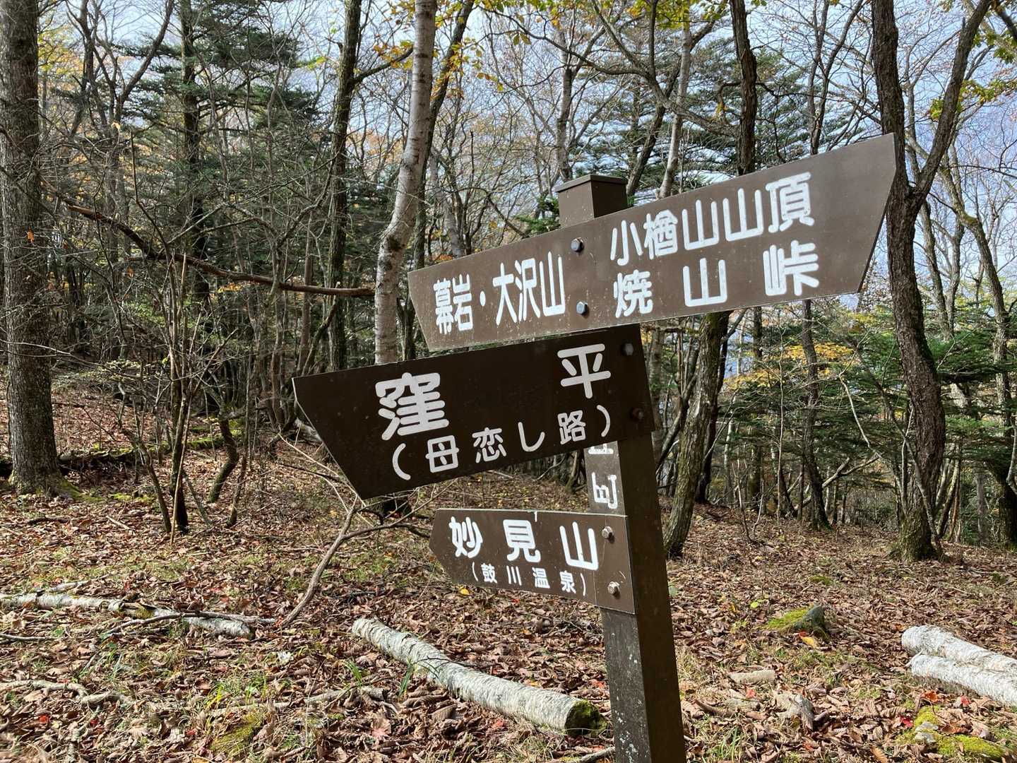 母恋し路を下ります。