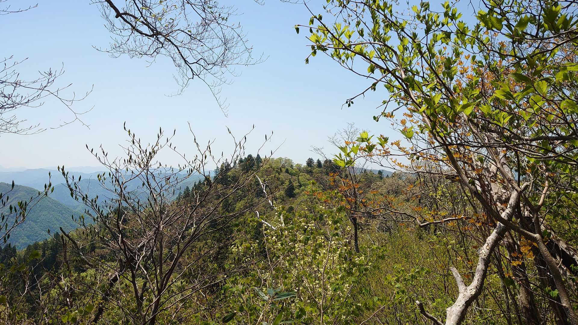 中越山は近いけど時間が掛かる