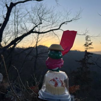 食べちゃうかな