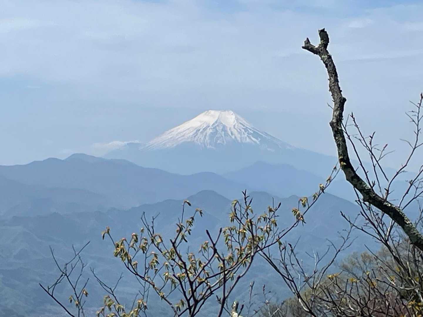 生籐山頂上付近からの富士山アップ⤴️